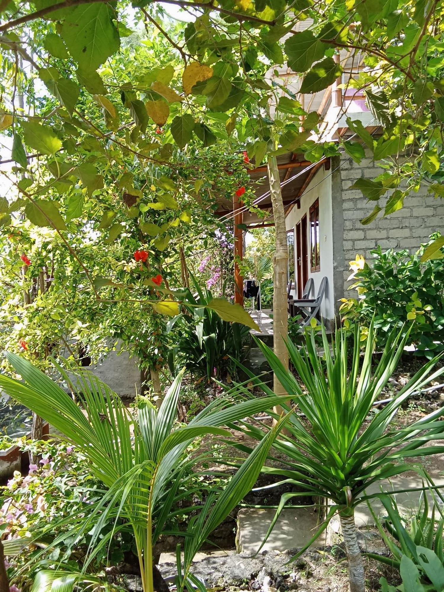 Feby'S Homestay Ekas Ruang foto